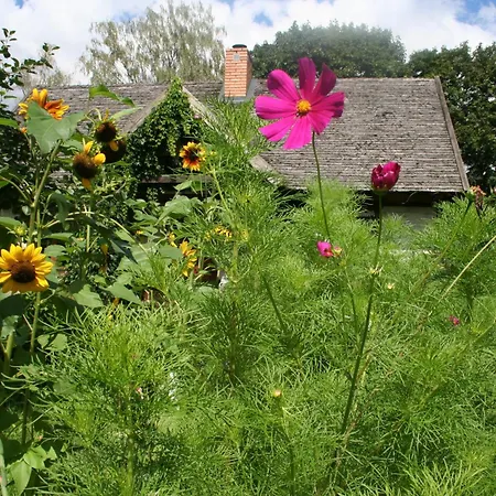 Jastrzebie Katy Сasa de vacaciones Wisniew