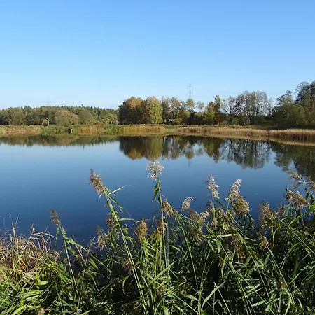 Jastrzebie Katy Wisniew