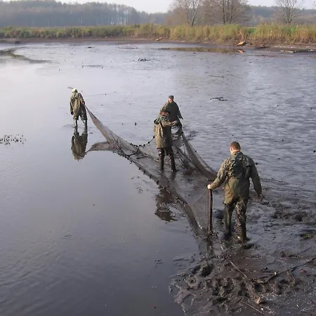 Jastrzebie Katy Wisniew