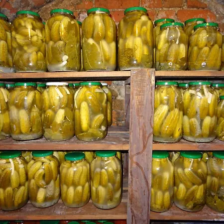 Jastrzebie Katy Wisniew