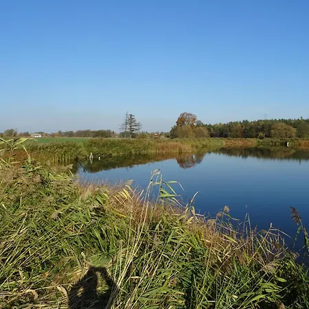 Jastrzebie Katy * Wisniew