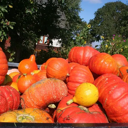 Jastrzebie Katy * Wisniew