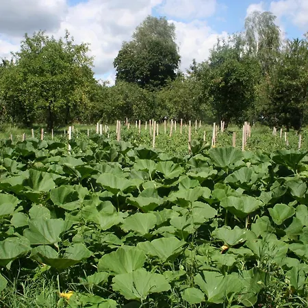 度假居 Jastrzebie Katy Wisniew