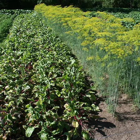 Jastrzebie Katy Vakantiehuis *