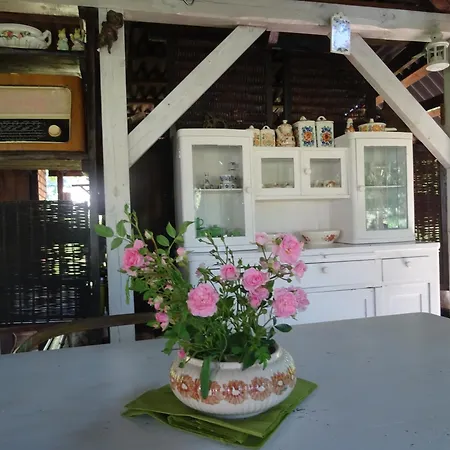 Jastrzebie Katy Wisniew