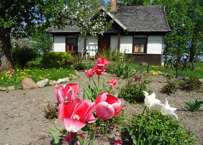 Jastrzębie Kąty Dom wakacyjny *