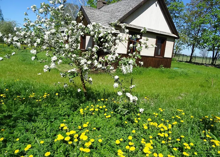 Jastrzębie Kąty Dom wakacyjny *