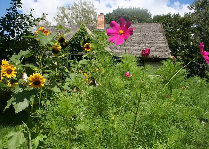 Jastrzębie Kąty Dom wakacyjny Wisniew