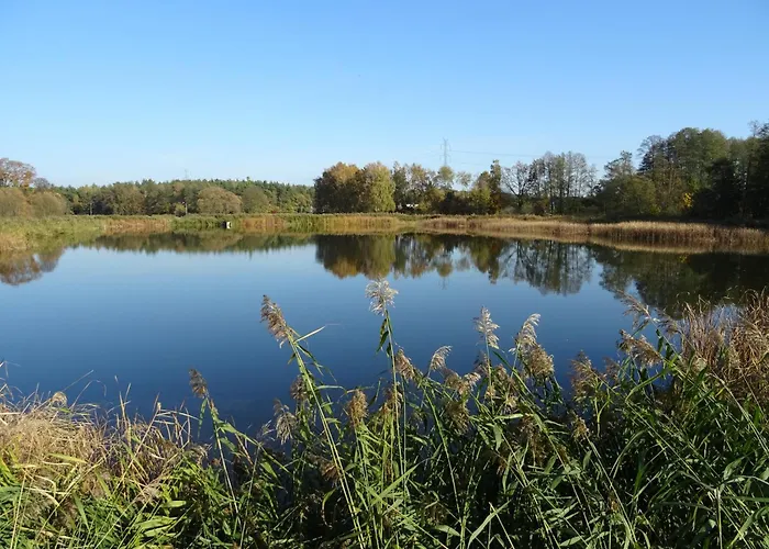 Jastrzębie Kąty Wisniew