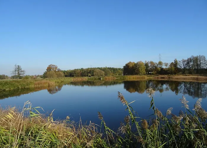 Jastrzębie Kąty Dom wakacyjny *
