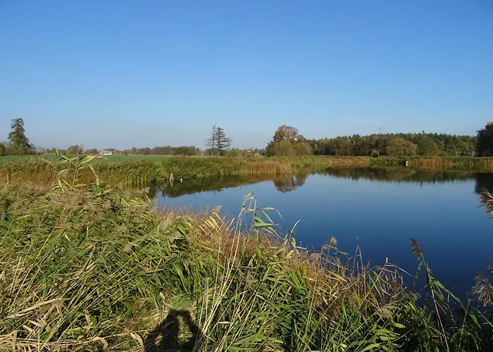 Jastrzębie Kąty * Wisniew