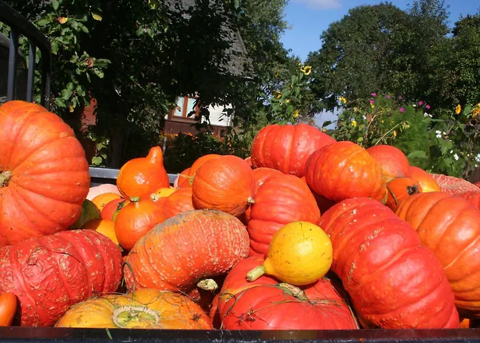 Jastrzębie Kąty * Wisniew