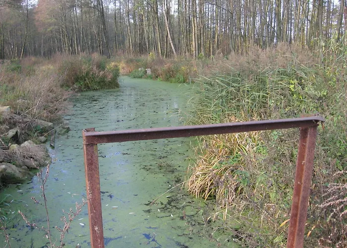 Jastrzębie Kąty Dom wakacyjny