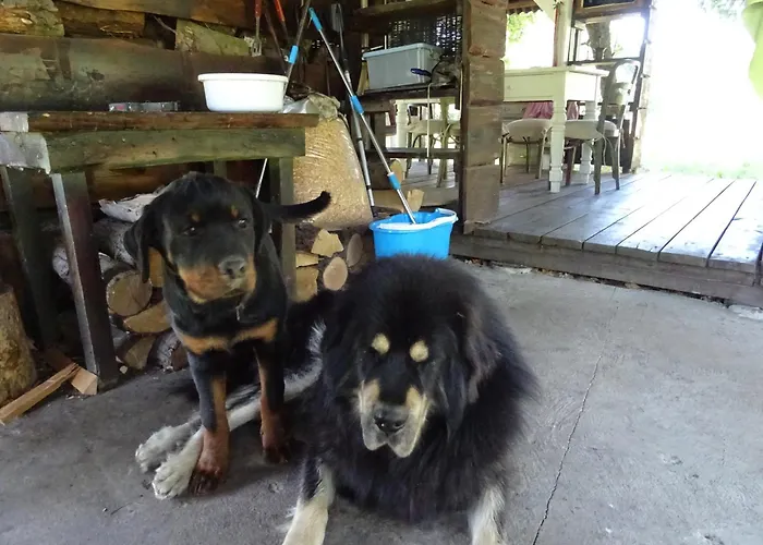 Jastrzębie Kąty Wisniew